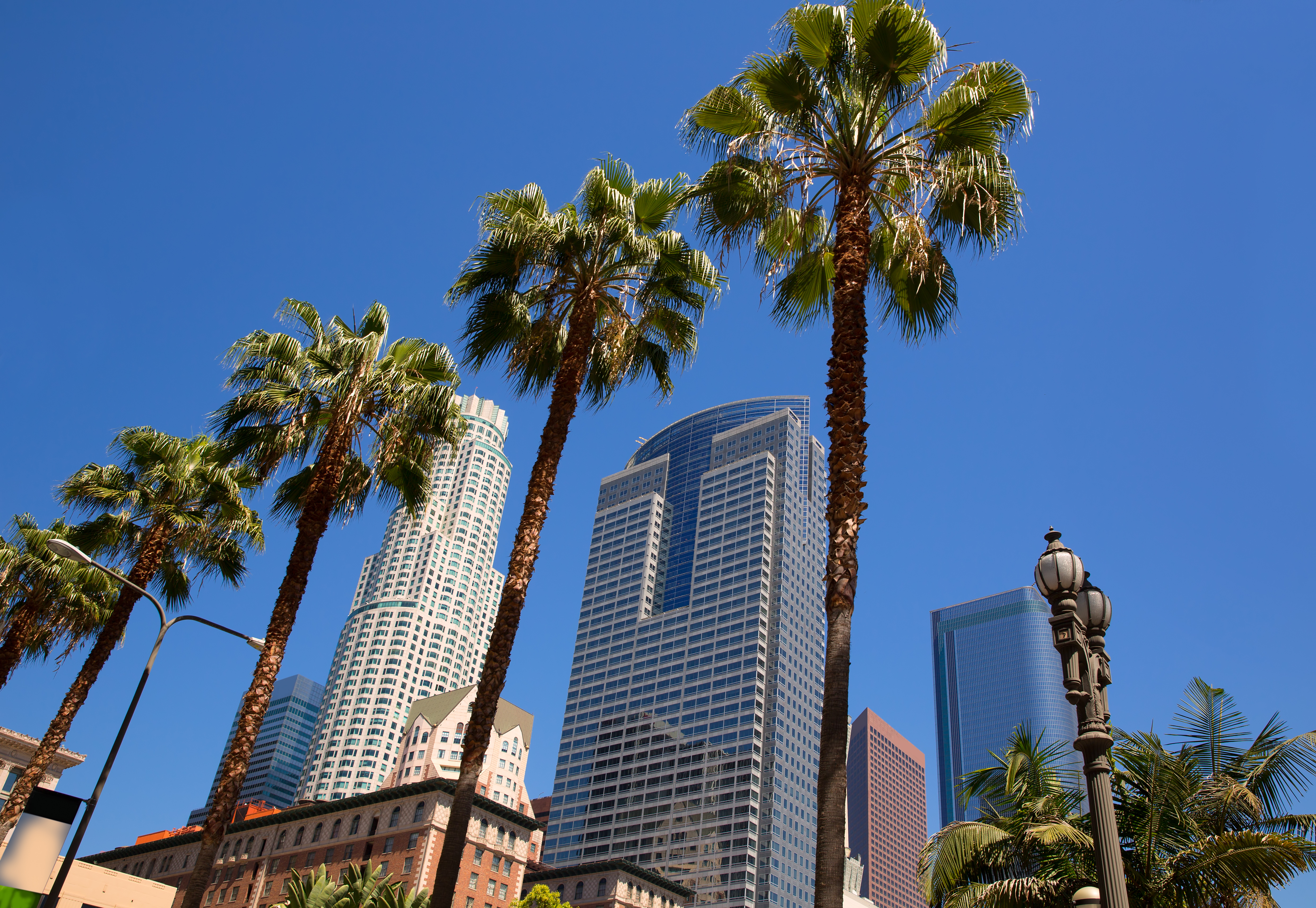 LA Downtown Los Angeles Pershing Square palm tress and skyscrapers