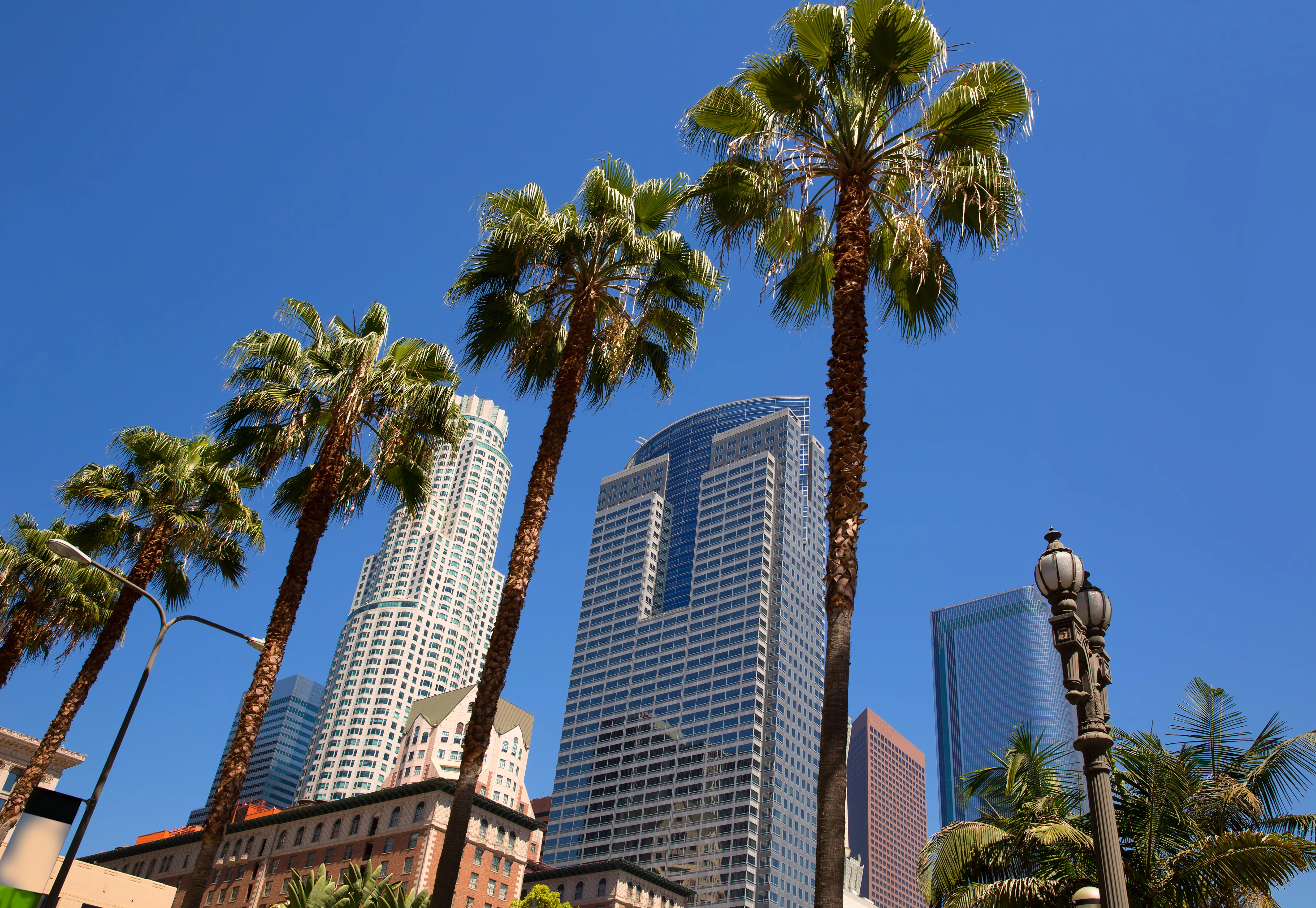 LA Downtown Los Angeles Pershing Square palm tress and skyscrapers